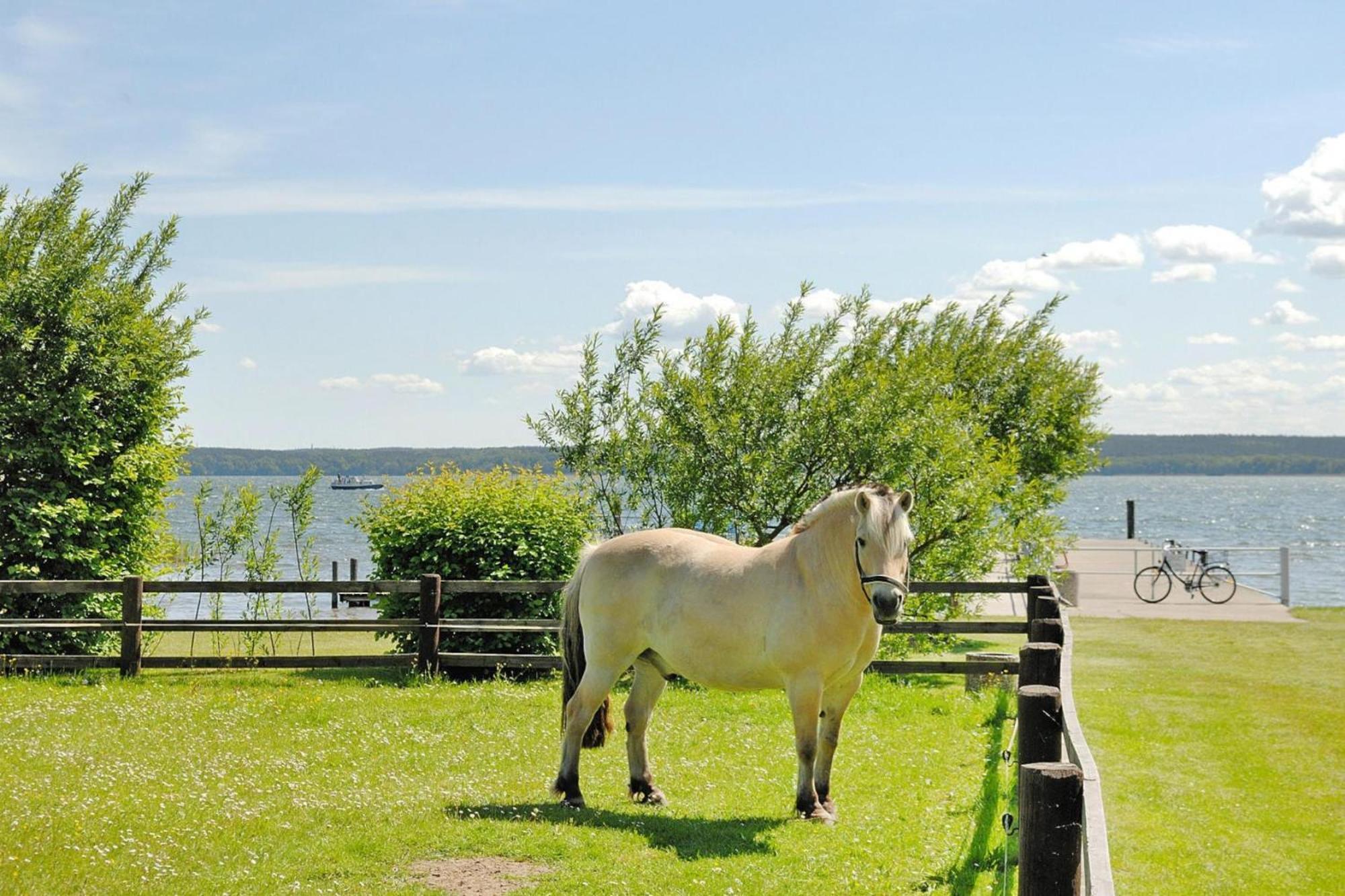 Seepark Heidenholz, Plau am See Exterior foto